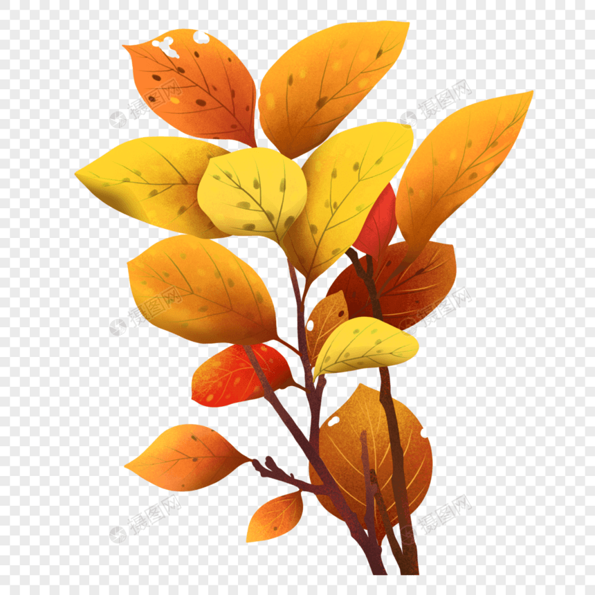 秋天树叶变黄图片