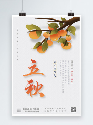 立秋柿子二十四节气之立秋大气简洁宣传海报模板