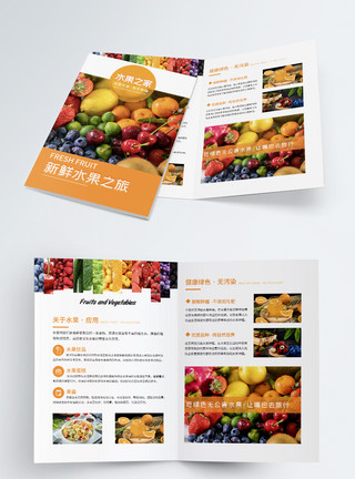 蓝莓促销宣传水果店促销宣传二折页模板