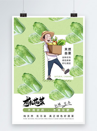新品上市蔬菜有机蔬菜简约大气白菜海报模板
