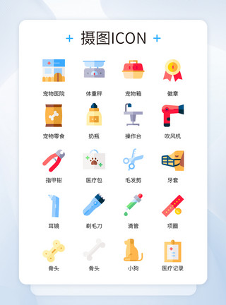 炖骨头彩色卡通宠物医院常用工具icon图标模板
