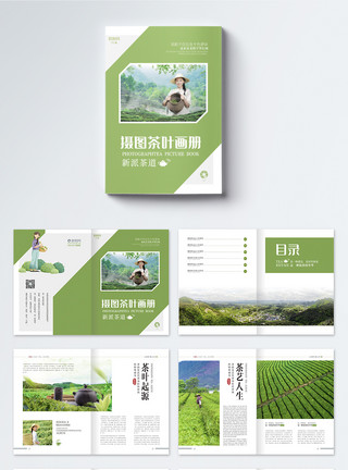 茶道宣传海报清新绿色茶叶宣传画册整套模板