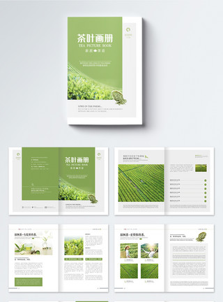 中国风茶画册设计绿色茶叶画册茶行宣传画册整套模板