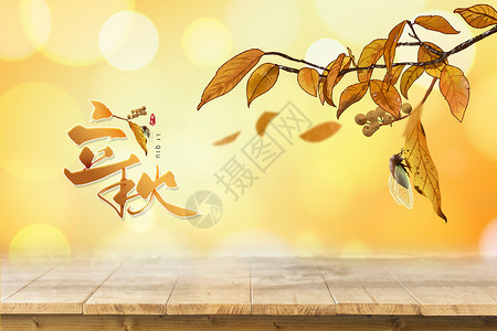 蝉和兰花叶子立秋设计图片
