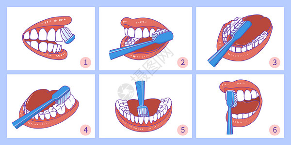 口腔临床医学巴氏刷牙法刷牙步骤插画