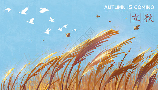 夏末促销立秋之金色的麦浪插画