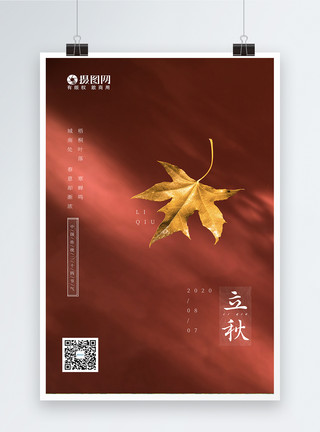 光影背景图立秋红色枫叶海报设计模板