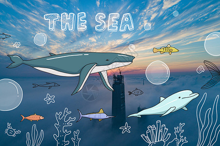 水下海鱼夏天云海世界鲸鱼海豚插画