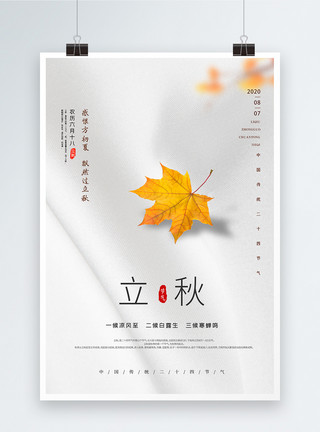 秋天树叶背景二十四节气之立秋宣传海报模板