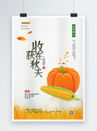 秋天丰收玉米简约风秋天收获宣传海报模板