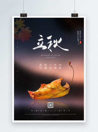 秋天树叶背景24节气之立秋宣传海报模板