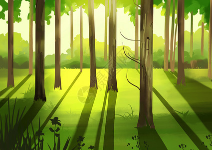 处暑午后阳光森林场景图片