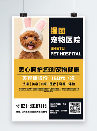 宠物猫宠物店通用活动宣传海报模板