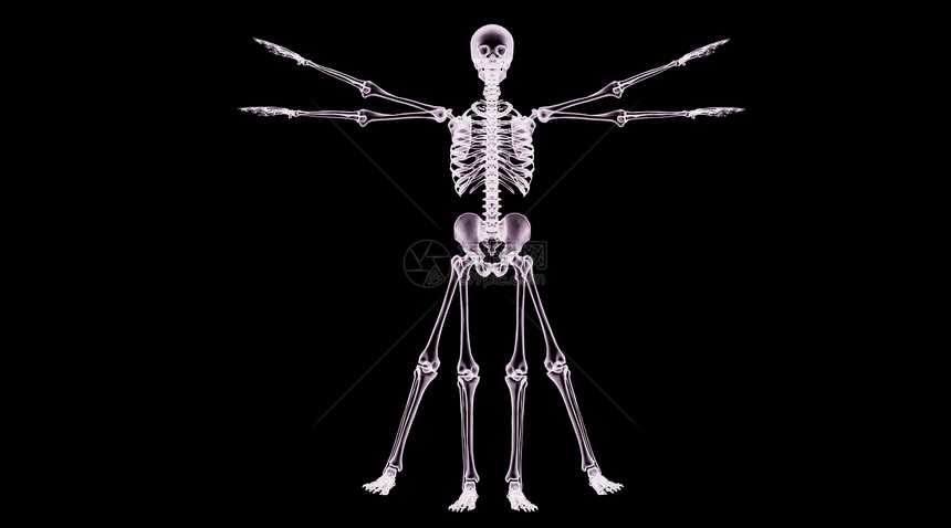 X光人体骨骼场景图片