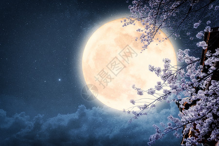中秋月圆夜晚樱花高清图片
