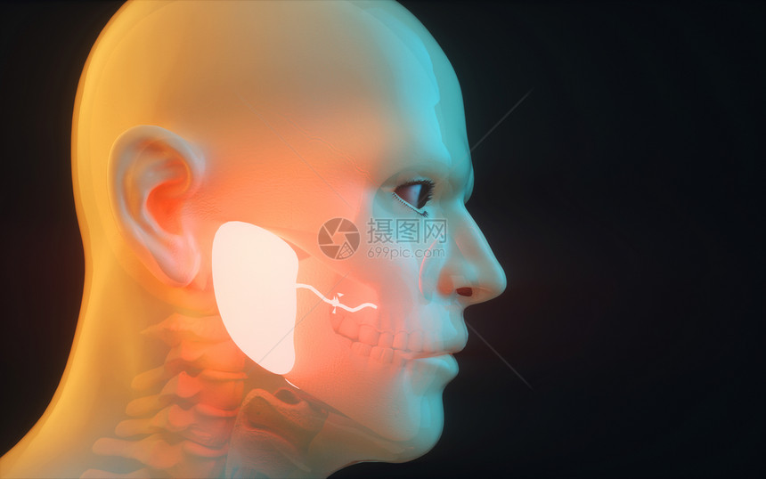 人体腮腺疾病图片