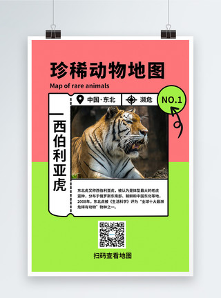 濒危动物素材珍稀濒危保护动物图鉴环保公益科普宣传海报模板