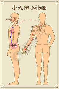 手太阳小肠经及穴位图片