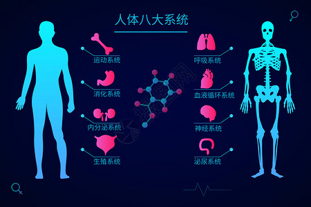 八大怪医疗健康人体八大系统科技感矢量插画插画