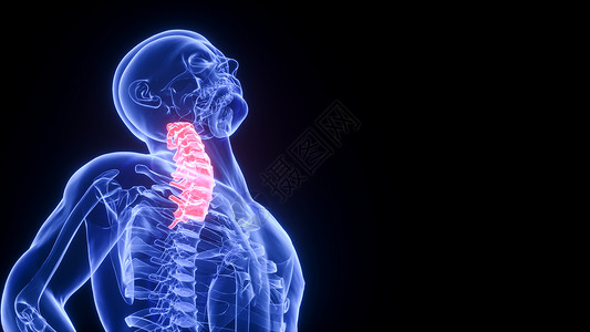 背部组织3D颈椎场景设计图片
