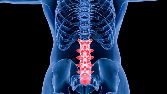 骨密度仪3D腰椎场景设计图片