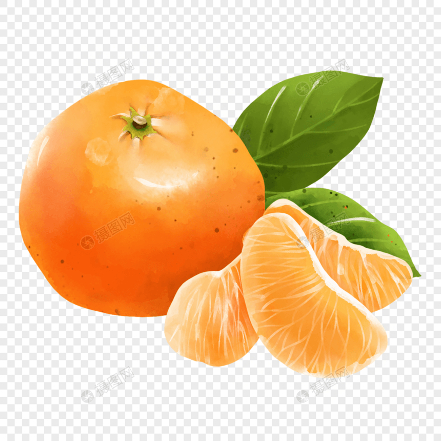 橘子与橘子肉图片