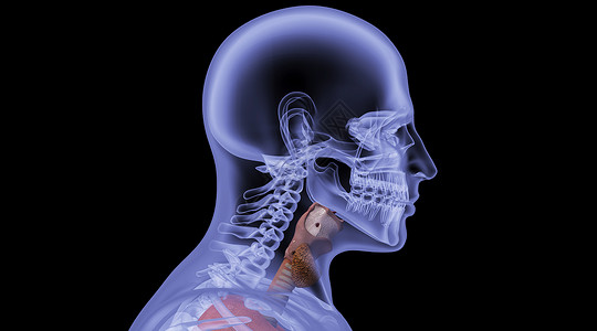 神经内分泌人体咽喉场景设计图片
