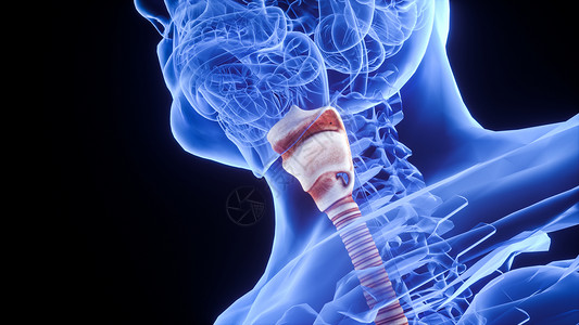 咽喉疼3D呼吸系统咽喉设计图片