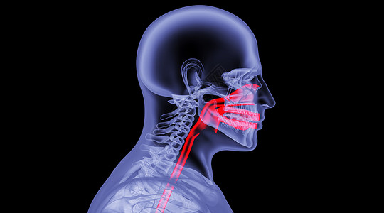 人体呼吸系统人体鼻腔场景设计图片