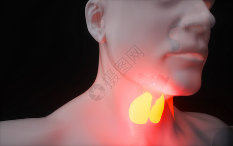 X光人体人体甲状腺设计图片