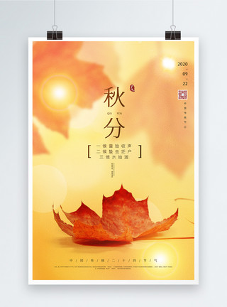 枫叶清新简约二十四节气之秋分节气海报模板