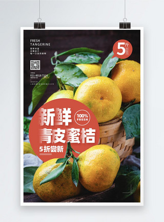 柑橘属新鲜水果蜜桔促销海报模板