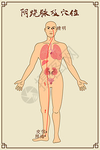 阴跷脉及穴位中医经络图背景图片