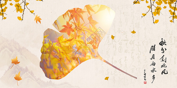 叶子黄叶秋分海报设计图片