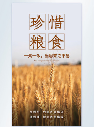 米饭摄影写实风节约粮食摄影图海报模板