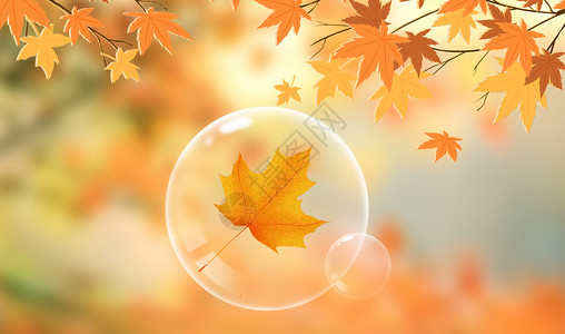 秋分的落叶秋天背景设计图片