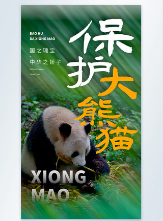保护国宝海报保护大熊猫摄影图海报设计模板