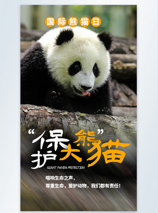 保护国宝海报保护大熊猫摄影图海报设计模板