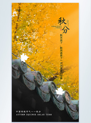 黄叶树秋分节气摄影图海报模板
