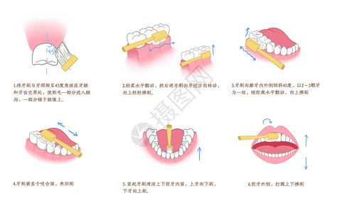 牙齿口腔护理刷牙方式科普插画插画
