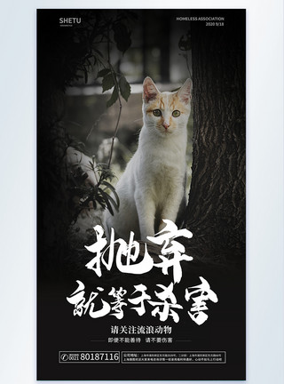 黄猫学校操场上的流浪猫图片关爱流浪动物公益海报模板