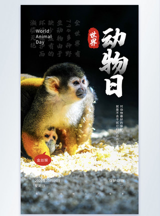 滇金丝猴世界动物日宣传公益摄图图海报模板