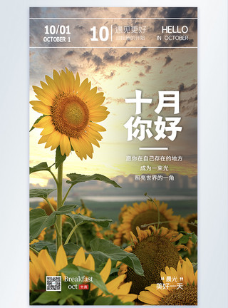 黄色植物向日葵十月你好摄影海报模板