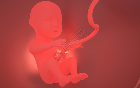 新生儿脐带孕育生命设计图片