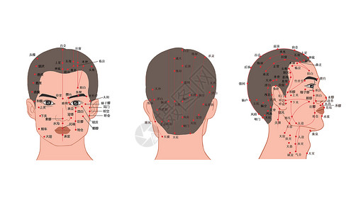 头部运动人体头部经络穴位图插画