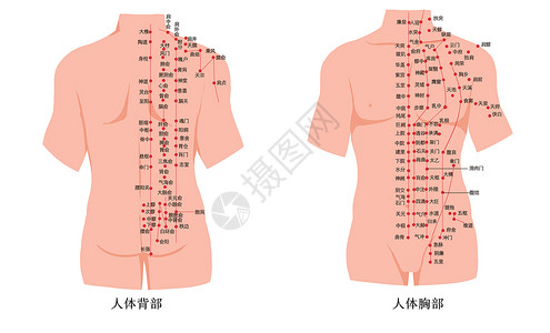 疏通经脉人体腹部及背部经络穴位图插画