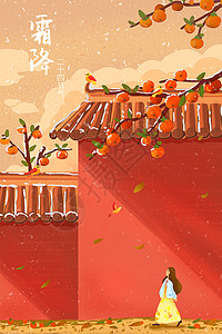霜降柿子树和红墙节气插画图片素材