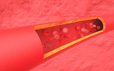 血管壁血管血液设计图片
