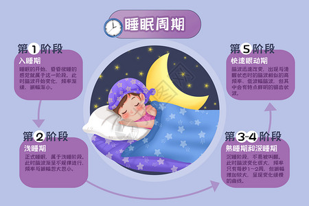 睡眠养生睡眠周期科普插画插画