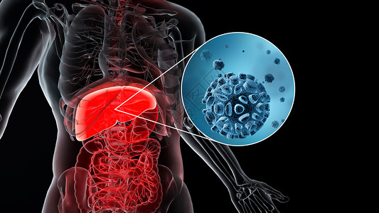 乙肝3D肝脏疾病场景设计图片